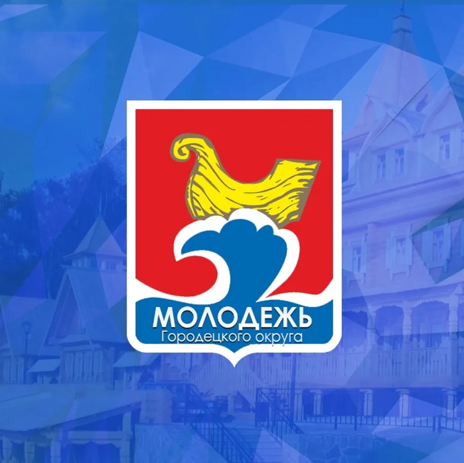 Отбор кандидатур в члены Молодежной палаты при Земском собрании Городецкого муниципального округа Нижегородской области