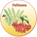 Муниципальное бюджетное дошкольное образовательное учреждение "Детский сад №1"